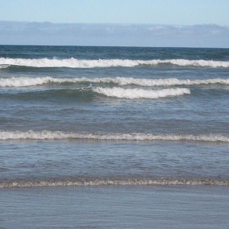 Lindo Apto 300M Praia Da Ocian E Centro - Vista Mar- Varanda Sacada - Wi-Fi 300 Mbps - Vaga De Garagem - Acomoda Ate 6 Pessoas Lejlighed Praia Grande  Eksteriør billede